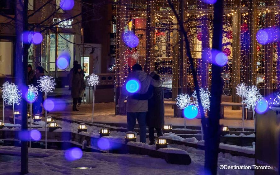 Toronto: Festive Lights Bus Tour - What the Toronto lights tour actually offers