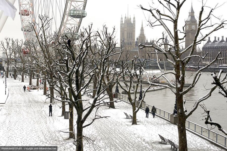 Tour of London and Christmas Day Lunch Cruise - Is $307 a fair Christmas Day price?