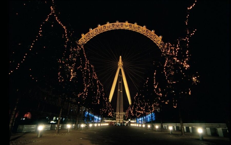 Tour of London and Christmas Day Lunch Cruise - Buckingham Palace and the royal view