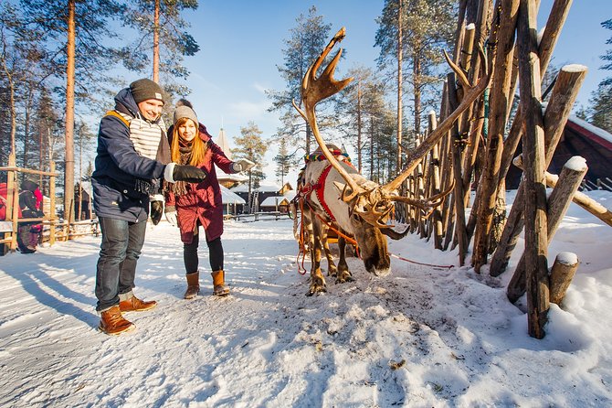 Trip to Arctic Circle, Santa Claus Village and Santas Reindeer - Group size, pickup, and service reliability