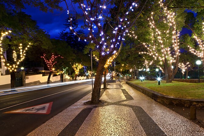 Tuk Tuk Funchal Magic Christmas Lights - Key points to know before booking