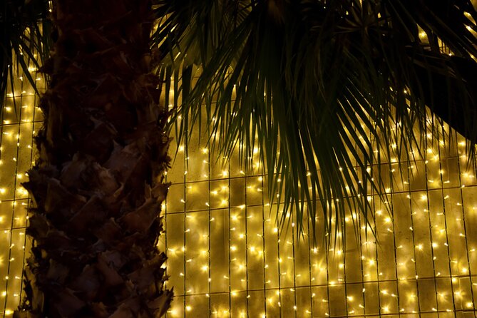 Tuk Tuk Funchal Magic Christmas Lights - Funchal Cathedral is the main ten-minute photo stop