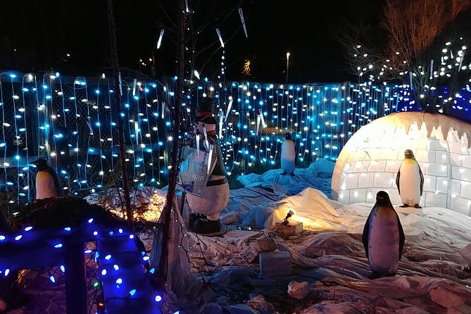 Vancouver Christmas Festival of Lights - Private transport is the tour’s strongest practical feature