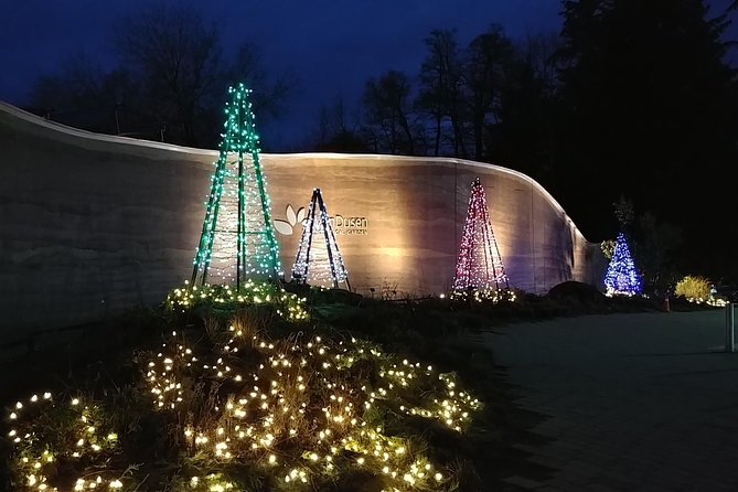 Vancouver Christmas Festival of Lights - Who will enjoy this evening most
