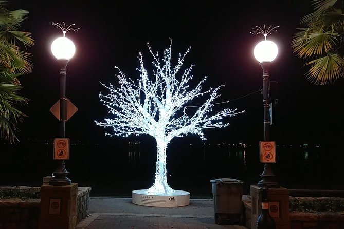 Vancouver Christmas Festival of Lights - Simple tips for a smoother night