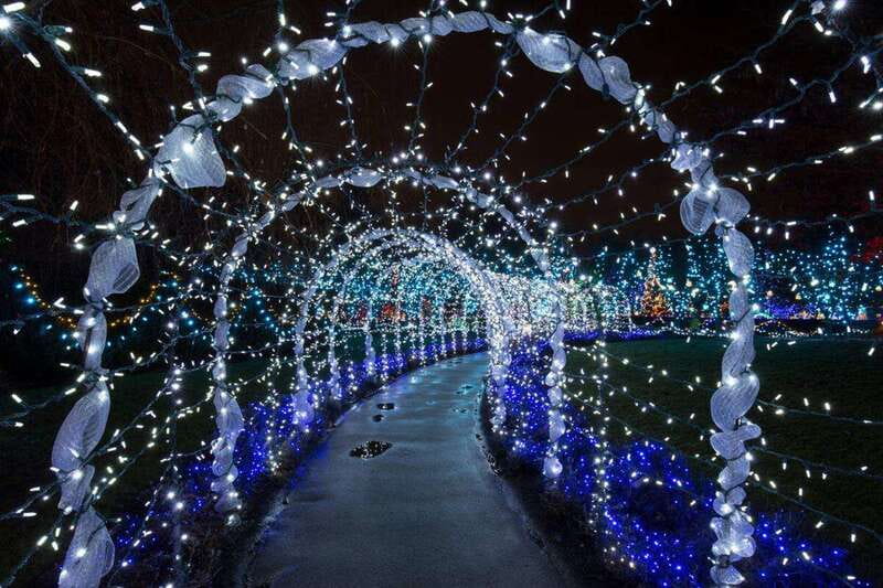 Vancouver Christmas Lights Karaoke Trolley Tour - English Bay and the city lights across the water