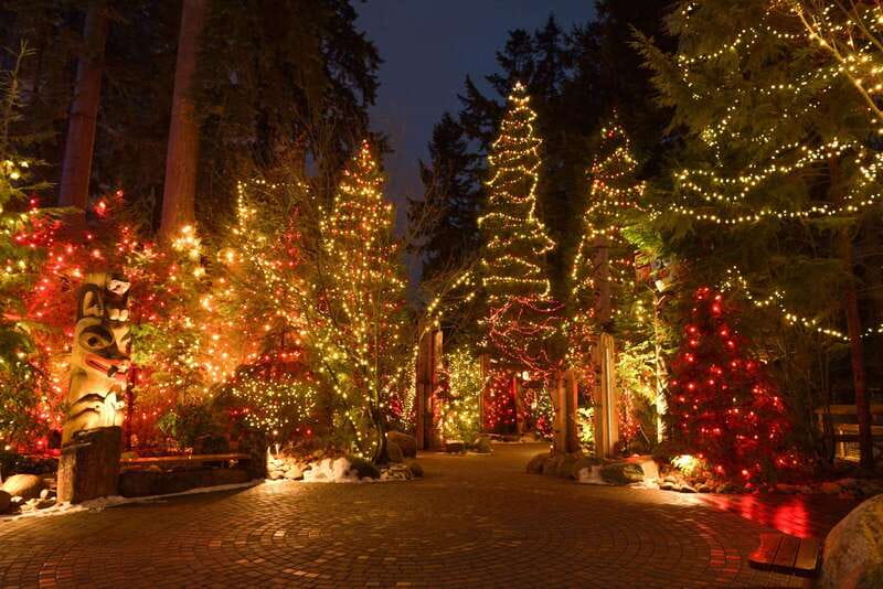 Vancouver: Christmas Lights Karaoke Trolley Tour - How to get the most from the evening