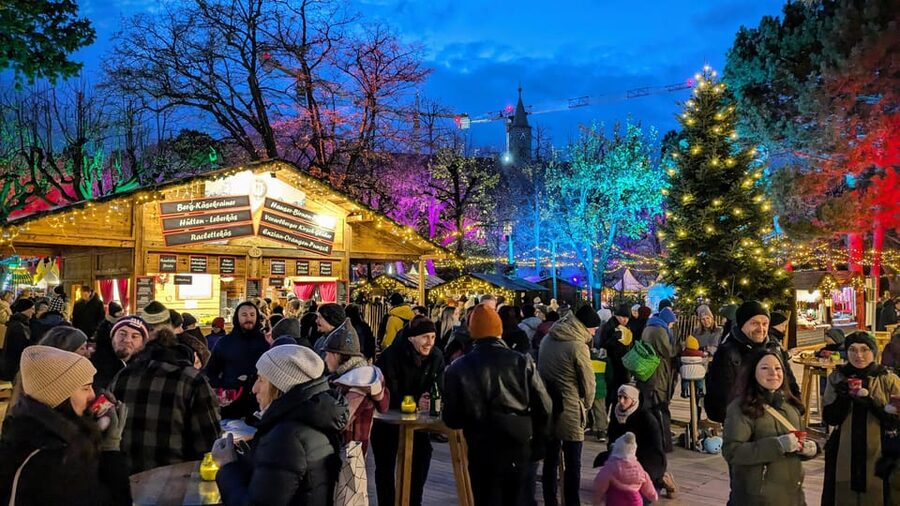 Vienna: Christmas Market Food and Drinks Tour - What to bring for a comfortable afternoon