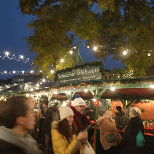 Vienna: Schönbrunn Palace & Christmas Market Walking Tour - The garden adds breathing room between indoor and outdoor sights