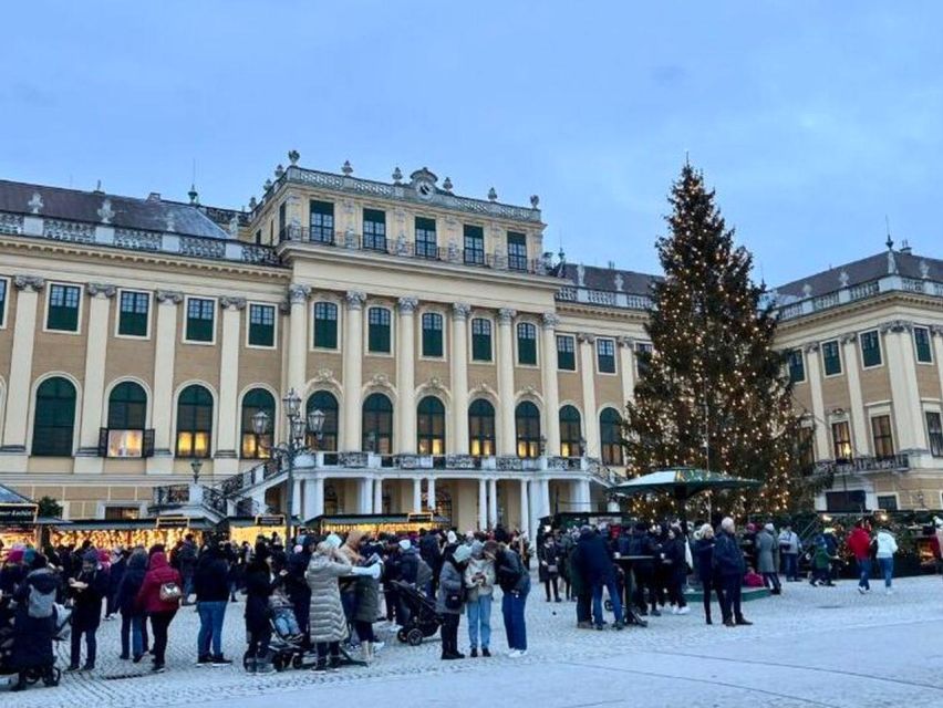 Vienna: Schönbrunn Palace & Christmas Market Walking Tour - Is $64 a fair price?