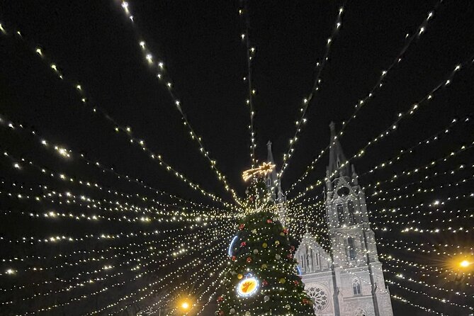 Walking tour in Prague Christmas Market and Festivities - What the Christmas atmosphere is really like