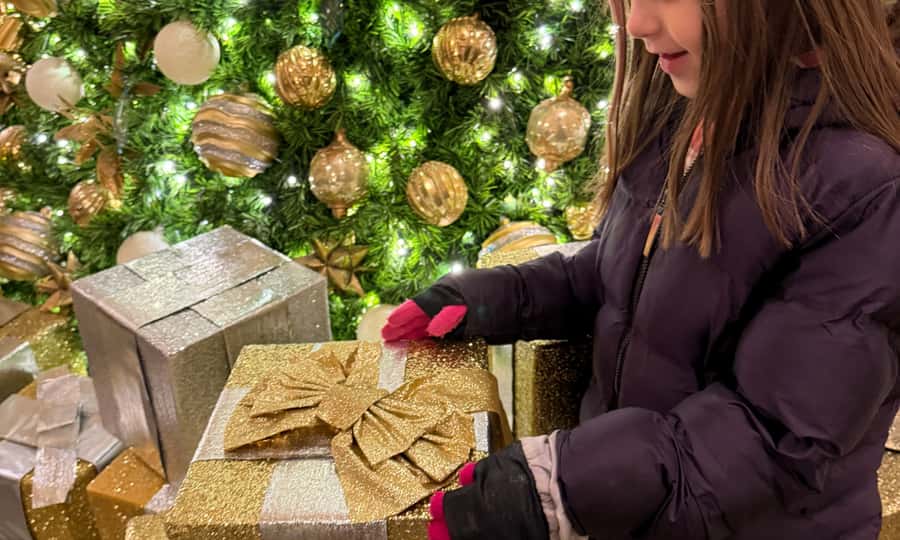 Washington, DC: Christmas Tree & Holiday Lights Bus Tour - Key details before you book