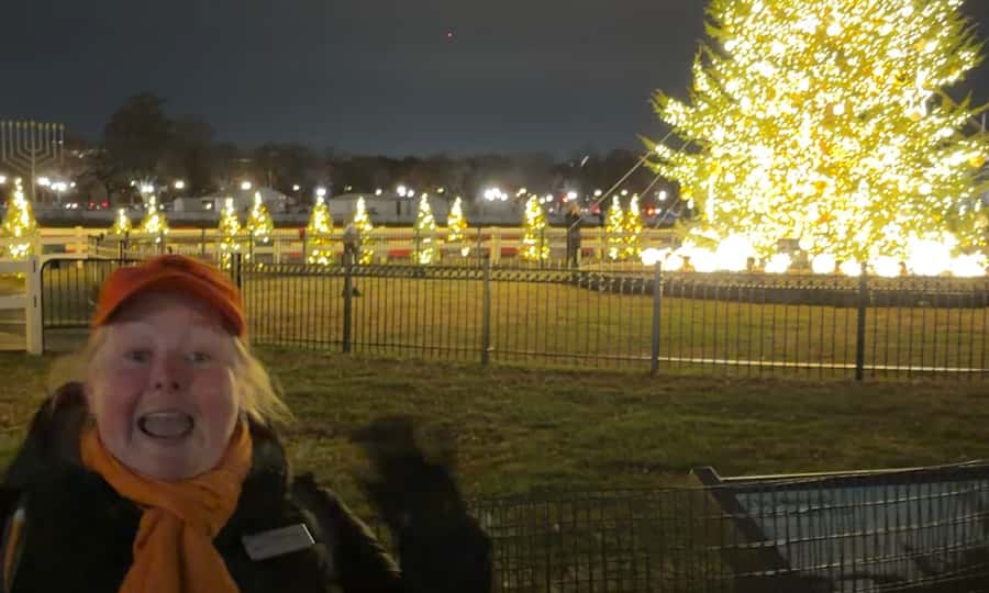 Washington, DC: Christmas Tree & Holiday Lights Bus Tour - Why this Christmas lights tour works well