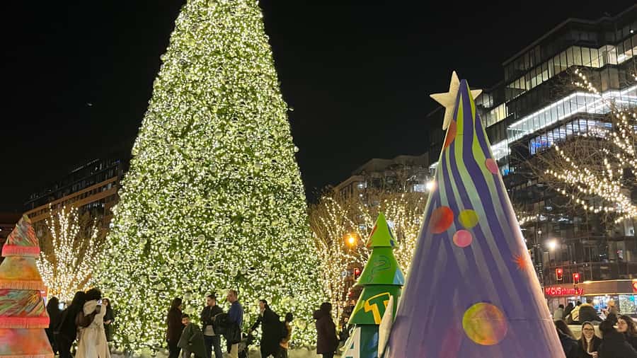 Washington, DC: Christmas Tree & Holiday Lights Bus Tour - The Capitol Christmas Tree photo stop