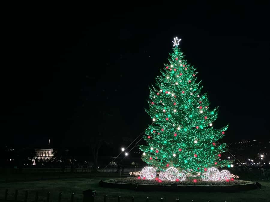 Washington, DC: Christmas Tree & Holiday Lights Bus Tour - U.S. Botanic Gardens: trains, plants, and holiday scenes