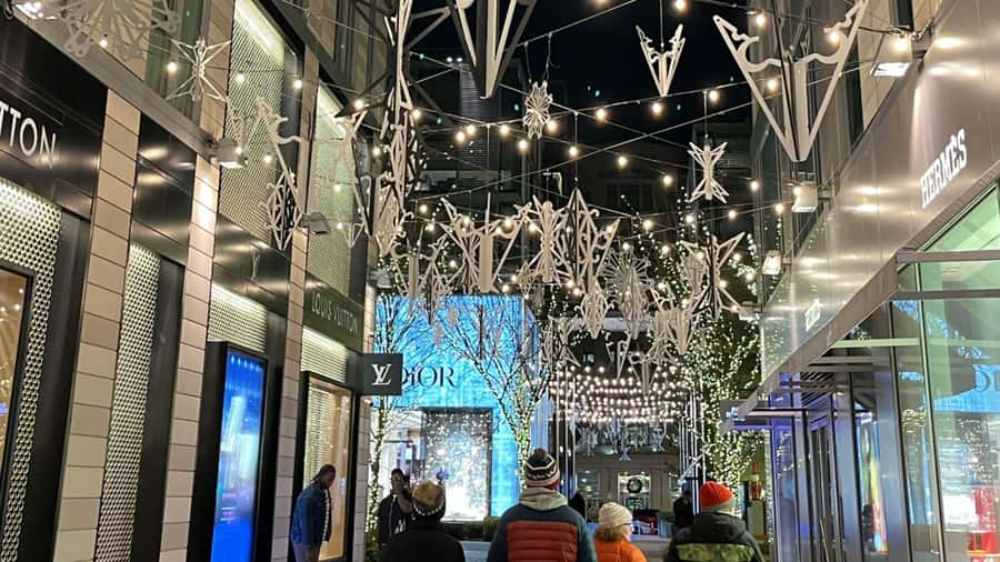 Washington, DC: Christmas Tree & Holiday Lights Bus Tour - The Willard Hotel’s old-fashioned holiday mood