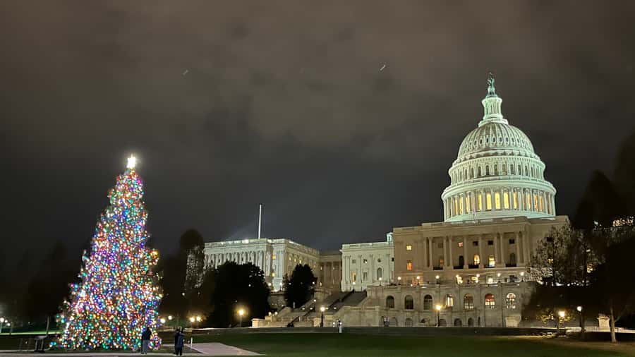 Washington, DC: Christmas Tree & Holiday Lights Bus Tour - Guide quality and the overall pace