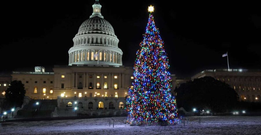 Washington, DC: Holiday Lights Nighttime Bus Tour - Passing the National Mall after dark