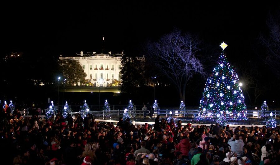 Washington, DC: Holiday Lights Nighttime Bus Tour - A final photo at the Canadian Embassy