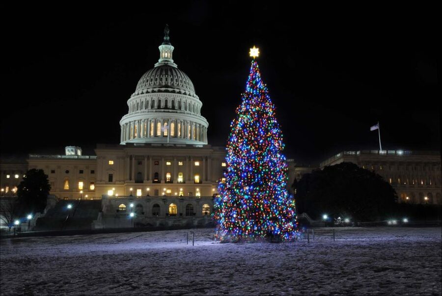 Washington, DC: Holiday Lights Nighttime Bus Tour - The National Christmas Tree and the White House