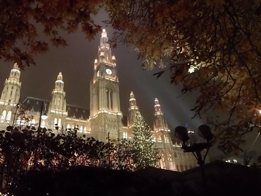 Wien: Tour with locals on the trails of the Christmas Tree - Why Vienna’s Christmas Tree Story Makes a Good Walk