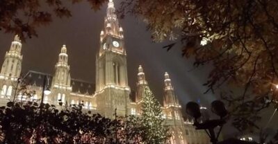 Wien: Tour with locals on the trails of the Christmas Tree