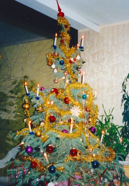 Wien: Tour with locals on the trails of the Christmas Tree - Albertina Museum and the Palace-to-Palace Route