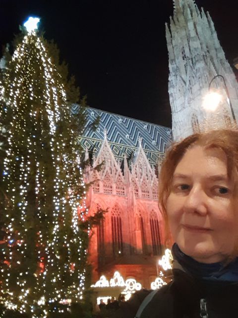 Wien: Tour with locals on the trails of the Christmas Tree - What the $62 Price Buys You