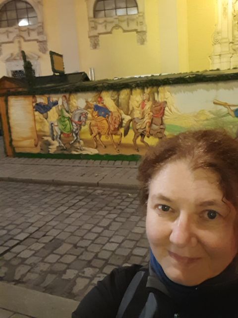 Wien: Tour with locals on the trails of the Christmas Tree - Languages, Pace, and Accessibility