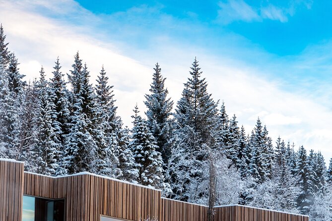 Winter Combo Godafoss Christmas House and The Forest Lagoon - Forest Lagoon: a full hour of geothermal comfort