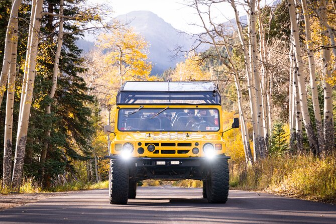 Winter Wonderland Adventure Tour | Sledding (Wildside 4x4 Tours) - Key points to know before booking