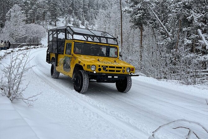 Winter Wonderland Adventure Tour | Sledding (Wildside 4x4 Tours) - A winter tour that does more than drive past the views