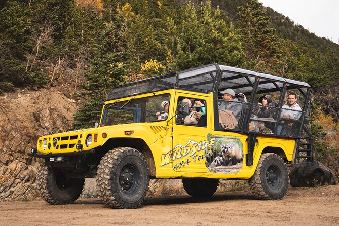 Winter Wonderland Adventure Tour | Sledding (Wildside 4x4 Tours) - Old Man Mountain and the first mountain stories