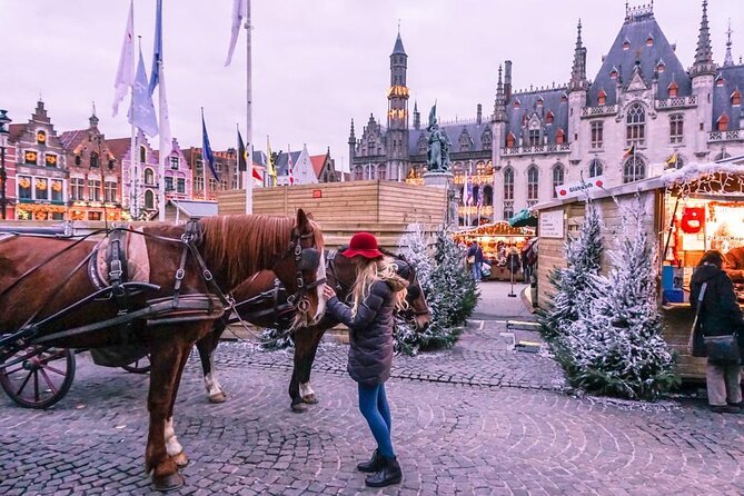 Winter Wonderland Day Trip from Paris to Bruges - Key points to know before booking