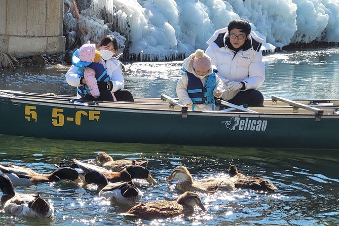 Winter Wonderland Healing Park and Gyeongju/Daegu Tour from Busan - A snowy start at Kookmin Healing Park