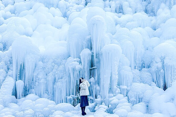 Winter Wonderland Healing Park and Gyeongju/Daegu Tour from Busan - Gyochon Village and the Choi family story