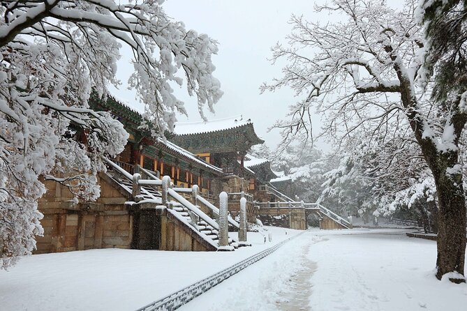 Winter Wonderland Healing Park and Gyeongju/Daegu Tour from Busan - Choosing Daegu for food and winter scenery