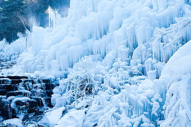 Winter Wonderland Healing Park and Gyeongju/Daegu Tour from Busan - What the long bus day really means