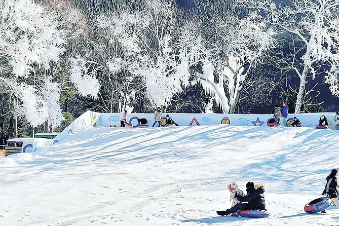 Winter Wonderland Healing Park and Gyeongju/Daegu Tour from Busan - Choosing Gyeongju for temples and old streets