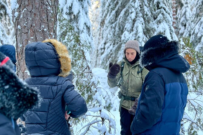 Winter Wonderland Hike in a National Park - Leaving Helsinki for Liesjärvi National Park