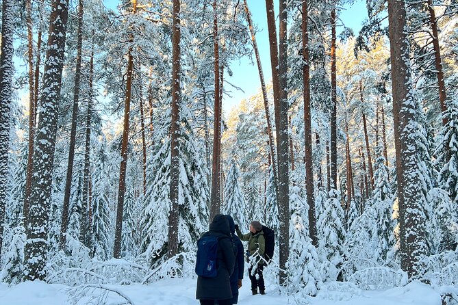Winter Wonderland Hike in a National Park - Is the $187.06 price good value?